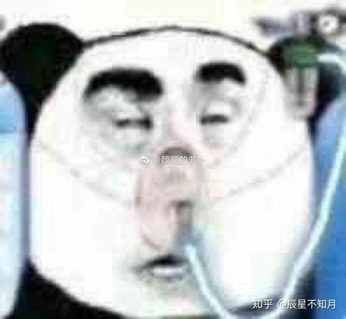 沙雕娱乐圈吃瓜小说推荐